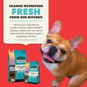 Acanaã¢Â Classics Dog Food Salmon & Barley Recipe Dry Dog Food, 4Lb