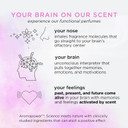 Pacifica Beauty | Moon Moods Hair Perfume & Body Spray Trial Set | Featuring Dream Moon Mini | 3 Scents | Fragrance Sampler Gift Set | Natural + Essential Oils | Clean | Vegan + Cruelty Free