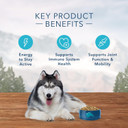 Blue Buffalo Wilderness High Protein, Natural Senior Dry Dog Food, Chicken 24-Lb