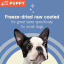 Canidae Pure Petite Premium Freeze-Dried Raw Coated Puppy Food For Small Breeds, Real Salmon Recipe, 4 Lbs, Grain Free
