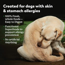 Dr. Harvey'S Specialty Diet Allergy Turkey Recipe, Human Grade Dog Food For Dogs With Sensitivities And Allergies (5 Pounds)
