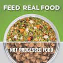 Dr. Harvey'S Chicken & Garden Veggies Dog Food, Human Grade Whole-Grain Dehydrated Dog Food With Freeze-Dried Chicken (5.5 Ounces, Trial Size)