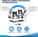 Forza10 Sensitive Joint Support Dog Food, 25 Pound Bag Mobility Support Dog Food, Fish Flavor Dry Dog Food Joint Support, Grain Free Dog Glucosamine Chondroitin For Mobility Arthritis Joint Issues Forza10 Sensitive Joint Support Dog Food, 25 Pound Bag Mobility Support Dog Food, Fish Flavor Dry Dog Food Joint Support, Grain Free Dog Glucosamine Chondroitin For Mobility Arthritis Joint Issues