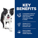 Hill'S Science Diet Senior Vitality, Senior Adult 7+, Senior Premium Nutrition, Dry Dog Food, Chicken & Rice, 3.5 Lb Bag