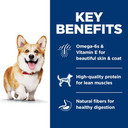 Hill'S Science Diet Adult 1-6, Adult 1-6 Premium Nutrition, Small Kibble, Dry Dog Food, Lamb & Brown Rice, 4.5 Lb Bag