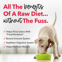 Iheartdogs Dog Food Topper - Freeze-Dried Raw Dog Food Seasoning - Grain Free Superfood Meal Mixer (Beef, 8 Ounce)