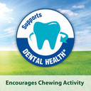 Kaytee Fiesta Pet Hamster And Gerbil Food, 4.5 Pound