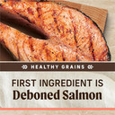 Merrick Healthy Grains Premium Adult Dry Dog Food, Wholesome And Natural Kibble With Salmon And Brown Rice