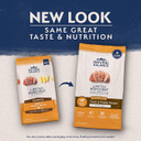 Natural Balance Limited Ingredient Puppy Grain-Free Dry Dog Food, Reserve Duck & Potato Recipe, 4 Pound (Pack Of 1)