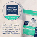 Natural Balance Freeze Dried Raw Dog Food, Grain-Free Limited Ingredient Adult Formula, Great As Topper, Treat, Or Meal, Chicken & Sweet Potato Recipe, 13 Ounce (Pack Of 1)