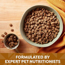 Natures Recipe Mature Lamb & Brown Rice Recipe Dry Dog Food, 4 Lb. Bag