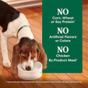 Nutro Natural Choice Puppy Dry Dog Food, Lamb & Brown Rice Recipe, 4.5 Lb. Bag