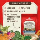 Stella & Chewy'S Superblends Raw Coated Wholesome Grains Wild-Caught Whitefish & Salmon Recipe With Superfoods, 21 Lb. Bag