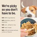 The Honest Kitchen Whole Food Clusters Puppy Whole Grain Chicken Dry Dog Food, 4 Lb Bag