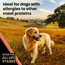 Victor Super Premium Dog Food  Grain Free Yukon River Canine  For Dogs Of All Life Stages  High Protein Dry Dog Food For All Normally Active Dogs, 5 Lb