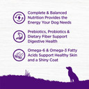 Wellness Complete Health Dry Dog Food With Grains, Natural Ingredients, Made In Usa With Real Meat, All Breeds, For Adult Dogs (Chicken & Oatmeal, 15-Pound Bag) Wellness Complete Health Dry Dog Food With Grains, Natural Ingredients, Made In Usa With Real Meat, All Breeds, For Adult Dogs (Chicken & Oatmeal, 15-Pound Bag)