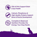 Wellness Complete Health Dry Puppy Food, Deboned Chicken & Oatmeal Recipe, 26 Pound Bag