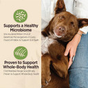 Wellness Core Digestive Health Dry Dog Food, Plant & Egg Based, 4 Pound Bag