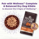 Wellness Core Bare Bowl Boosters For Dogs, Grain-Free Freeze-Dried Food Mixer Or Topper, Made With Natural Ingredients (Beef, 4-Ounce Bag)