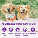 Whimzees Natural Grain-Free Dog Dental Chews, Large Breed, Variety Pack, 14 Count Bundle + Wellness Complete Health Large Breed Dry Dog Food, Chicken & Salmon, 15-Pound Bag