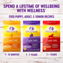Whimzees Natural Grain-Free Dog Dental Chews, Large Breed, Variety Pack, 14 Count Bundle + Wellness Complete Health Large Breed Dry Dog Food, Chicken & Salmon, 15-Pound Bag
