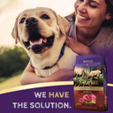 Zignature Venison Limited Ingredient Formula Dry Dog Food 25Lb