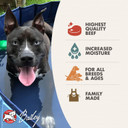 Fromm Four-Star Nutritionals Shredded Beef In Gravy Entrã£Â©E Dog Food - Premium Wet Dog Food - Beef Recipe - Case Of (12) 12 Oz Cans