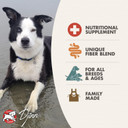 Fromm Family Nutritionals - Digestive Support Supplement For Dogs - Whitefish Recipe - Case Of 12 Cans