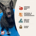 Fromm Diner Favorites Bud'S Beef & Broccoli Stew Dog Food - Premium Wet Dog Food - Beef Recipe - Case Of 12 Cans