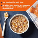 Nature'S Recipe Grain Free Chicken Recipe In Savory Broth Wet Dog Food, 2.75 Oz. Cup, 12 Count