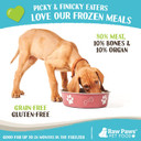 Raw Paws Signature Blend Pet Food For Dogs & Cats - Turkey Recipe, 1-Lb Rolls (20 Pack) - Made In Usa Frozen Turkey Roll Dog Food - Log Dog Food - Refrigerated Dog Food - Raw Frozen Food For Dogs