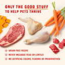 Stella & Chewy'S Wild Red Wet Dog Food Chicken & Beef Stew High Protein Recipe, 10 Ounce (Pack Of 6)