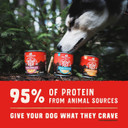 Stella & Chewy'S Wild Red Wet Dog Food Chicken & Beef Stew High Protein Recipe, 10 Ounce (Pack Of 6)