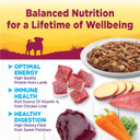 Wellness Petite Entrã£Â©Es Shredded Medley With Braised Lamb, Venison, White Sweet Potatoes & Carrots, 3 Ounce (Pack Of 12)