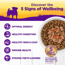 Wellness Natural Pet Food 3 Oz Grain Free Natural Wet Small Breed Roasted Chicken, Beef, Green Beans & Red Peppers. (12 Pack), One Size