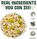 Weruva Classic Dog Food, Green Eggs & Chicken With Chicken Breast & Pumpkin In Gravy, 5.5Oz Can (Pack Of 24)