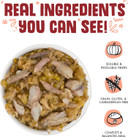 Weruva Classic Dog Food, Marbella Paella With Mackerel & Pumpkin In Aspic, 5.5Oz Can (Pack Of 24)