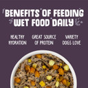 Weruva Classic Dog Food, Steak Frites With Beef, Pumpkin & Sweet Potato In Gravy, 5.5Oz Can (Pack Of 24)