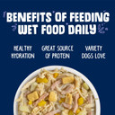 Weruva Classic Dog Food, Bed & Breakfast With Chicken, Egg, Pumpkin & Ham In Gravy, 5.5Oz Can (Pack Of 24), Blue