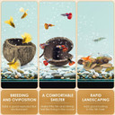 Katumo Fish Tank Decorations, 17 Pcs Aquarium Decors Natural Nutshell Cave Small Coral Driftwoods For Aquatic Pets Fish Tank Ornaments Reptile Decors