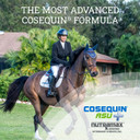 Nutramax Cosequin Asu Joint Health Supplement For Horses - Powder With Glucosamine, Chondroitin, Msm, Asu, Green Tea Extract, And Hyaluronic Acid, 1050 Grams