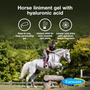 Farnam Vetrolin Horse Liniment Gel With Hyaluronic Acid For Muscle Soreness And Stiffness Relief On Horses, Helps Reduce Swelling, Aids In Pain Relief, 12 Oz