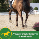 Farnam Hb 15 Hoof Supplement, Supports Healthy Hoof Growth 7 Pound, 112 Day Supply