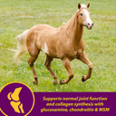 Farnam Horse Health Joint Combo Hoof & Coat, Convenient 3-In-1 Horse Joint Supplement Provides Complete Joint, Hoof And Coat Care, 8 Lb., 64 Day Supply
