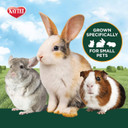 Kaytee All Natural Timothy Hay Plus Mint For Guinea Pigs, Rabbits & Other Small Animals, 24 Ounce