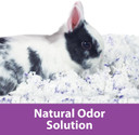 Kaytee Clean & Cozy Lavender Bedding For Pet Guinea Pigs, Rabbits, Hamsters, Gerbils, And Chinchillas, 49.2 Liters