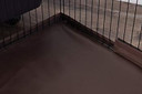Oxbow Enriched Life Small Animal Playpen - Leakproof Floor Cover For Rabbits, Guinea Pigs, & Other Small Pets (Large)