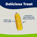 Vitakraft Mini Pops Treat For Small Animals - 100% Real Corn Cob - Supports Healthy Teeth - 1 Lb