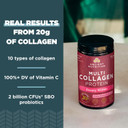 Collagen Powder Protein By Ancient Nutrition, Multi Collagen Protein Beauty Within, Guava Passionfruit, With Vitamin C, Hydrolyzed Collagen Peptides Supports Healthy Skin And Nails, 18.3Oz
