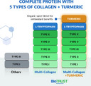 Biotrust Collagen Powder With Turmeric  5 Types (I, Ii, Iii, V, X)  Turmeric Collagen Powder For Women & Men  Hydrolyzed Protein  Grass Fed Beef, Fish, Chicken, Eggshell Membrane (Golden Milk)
